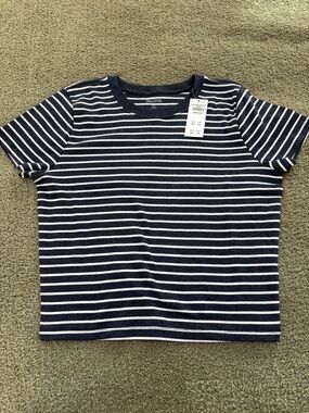 Hollister Navy and White Striped Short Sleeve Tee
